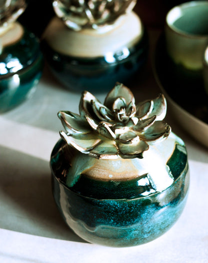 Huislook keramische pot