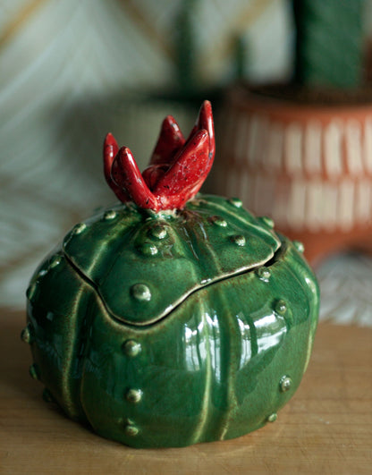 Bolcactus donkergroen met rode bloem