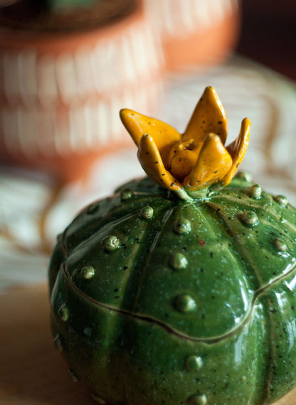 Bolcactus