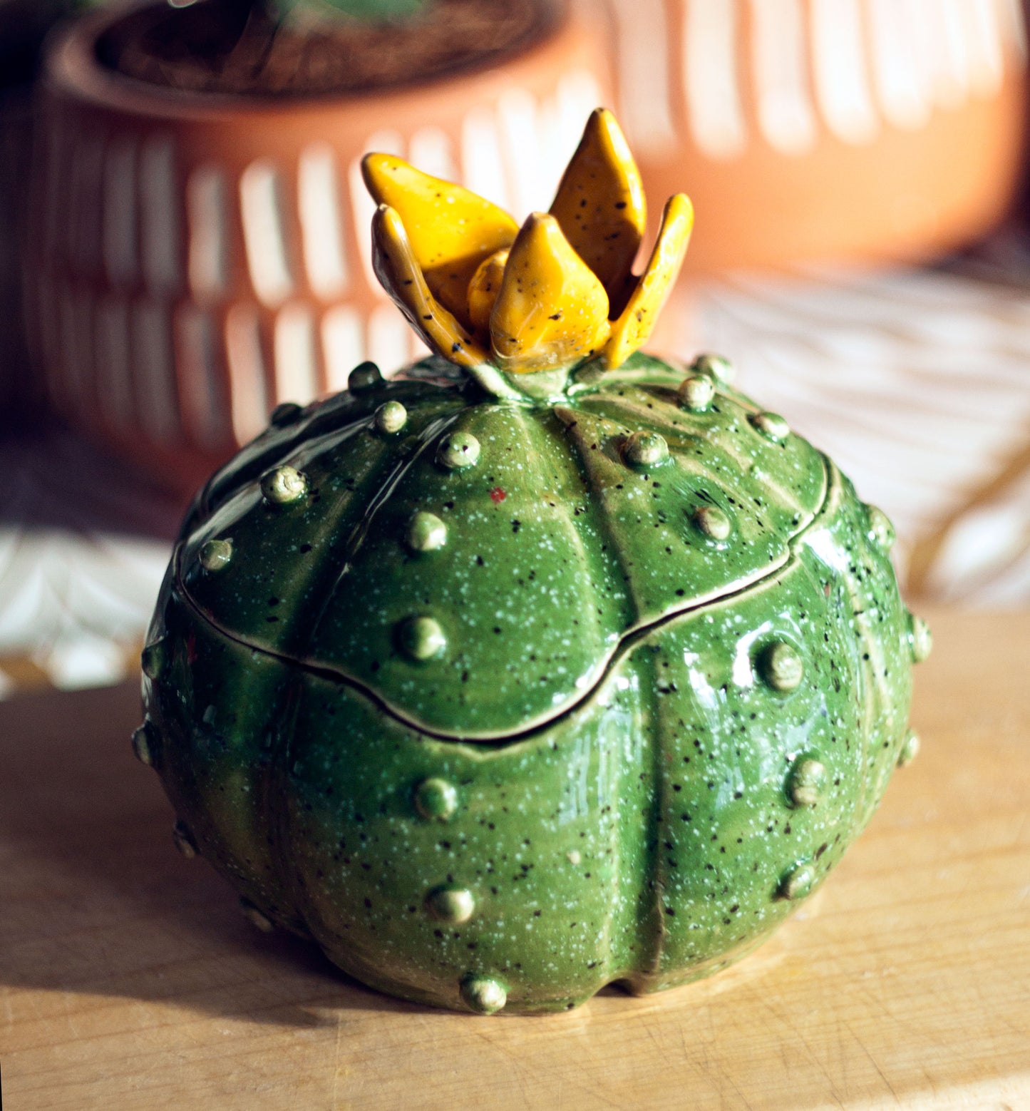 Bolcactus