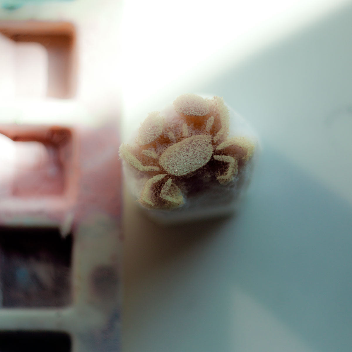 Stempel W019