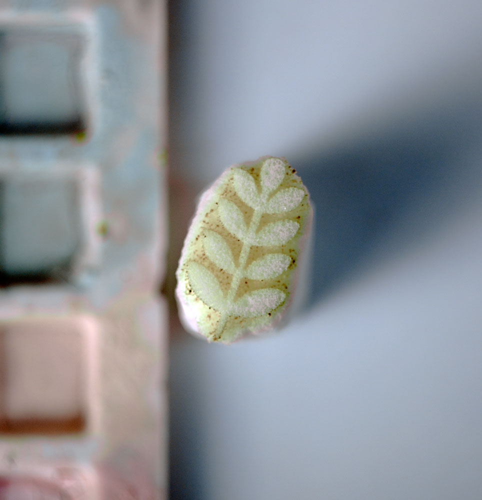 Stempel W009